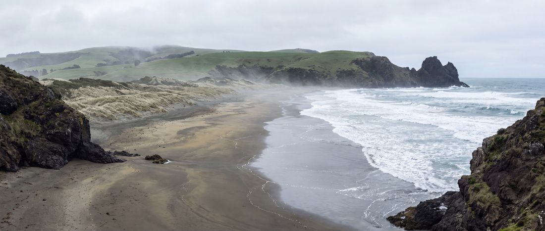 Wide view of Allans Beach, Otago Peninsula.
