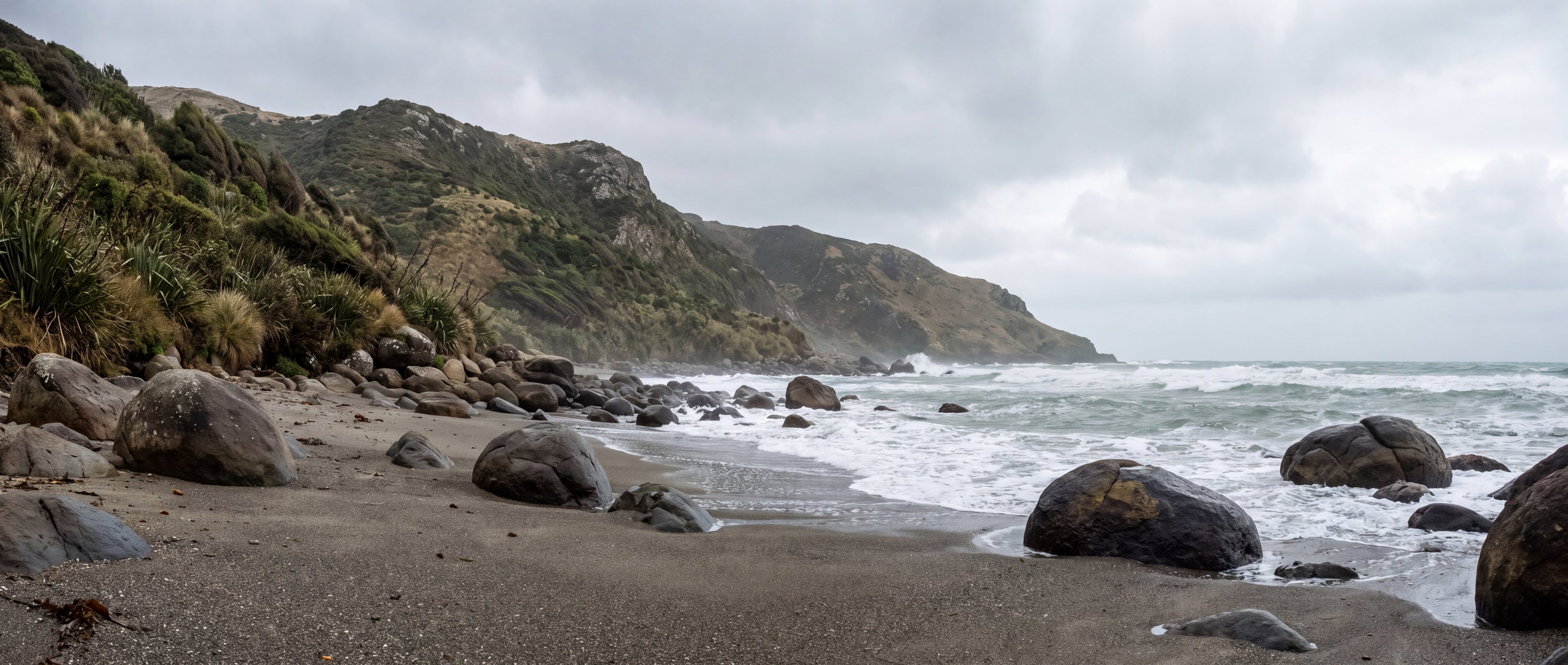 Wide view of Boulder Beach, Otago Peninsula.
