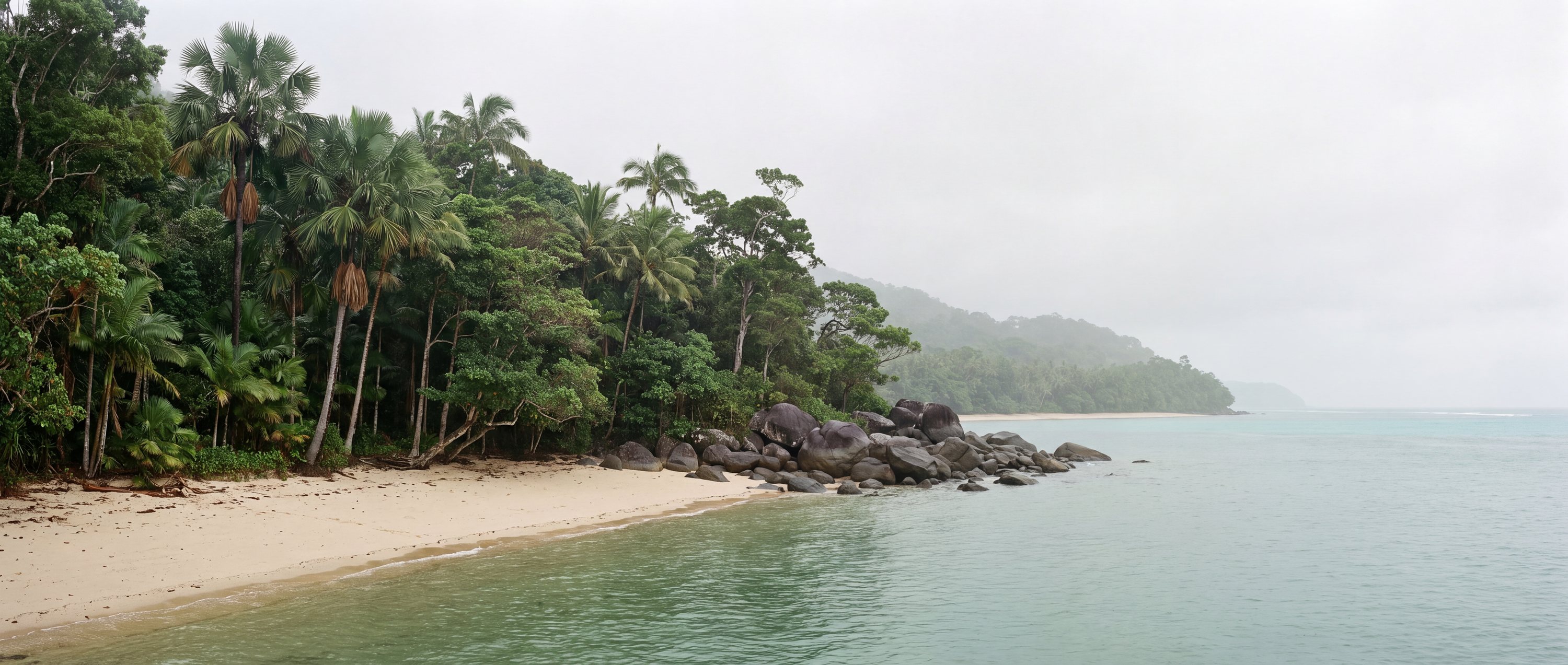 Wide view of Cape Tribulation Beach, Daintree, Queensland.