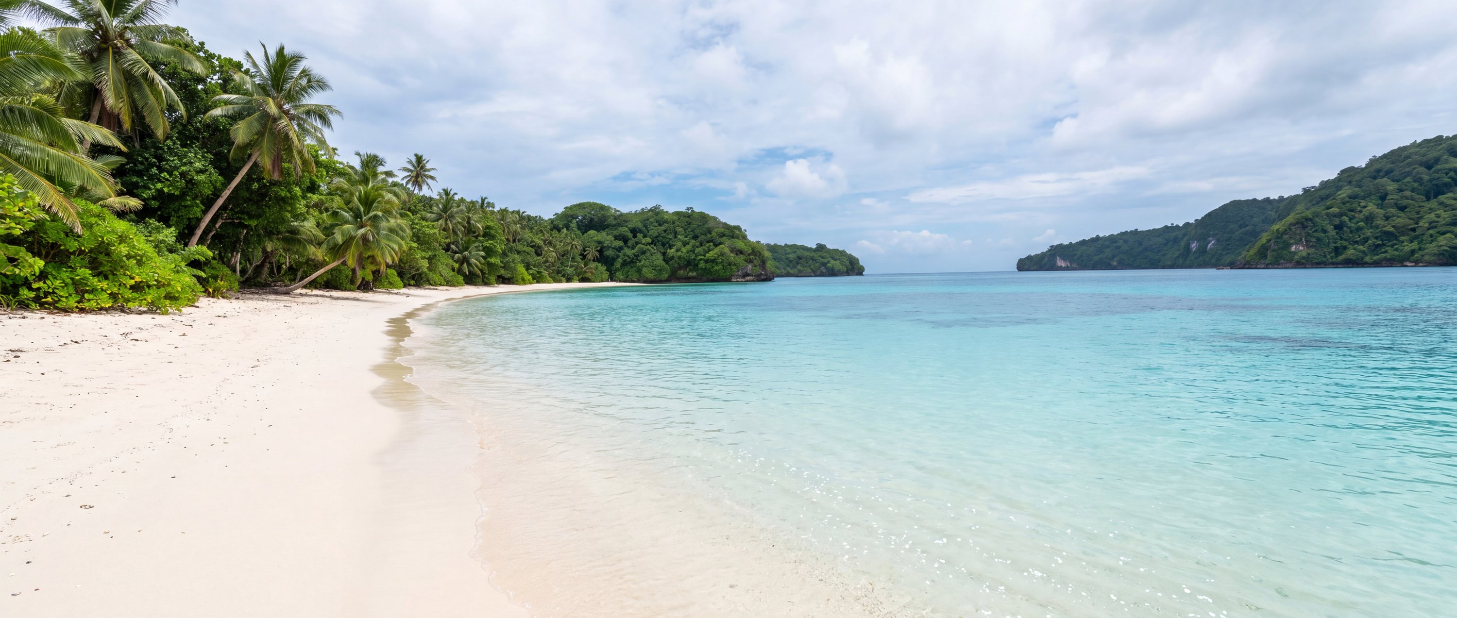 Wide view of Champagne Beach, Sanma.