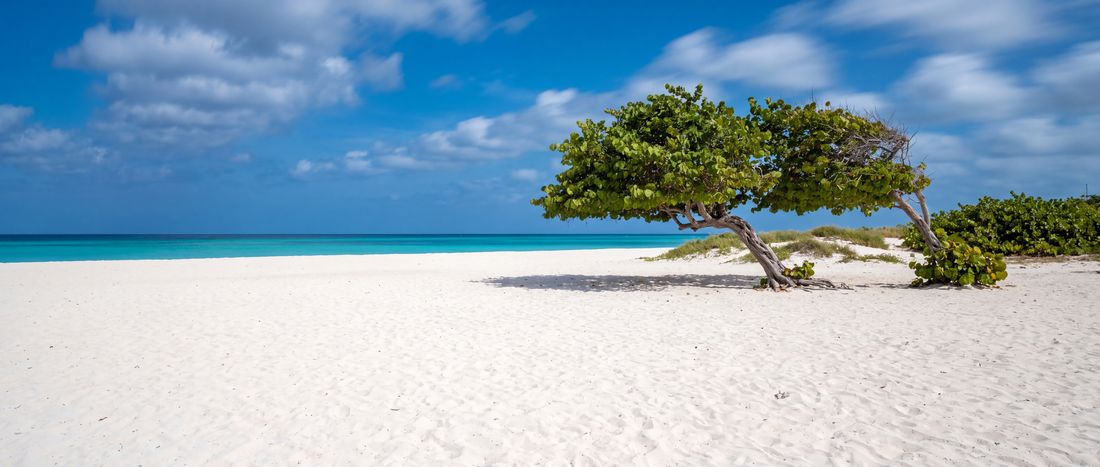 Wide view of Eagle Beach, Aruba.
