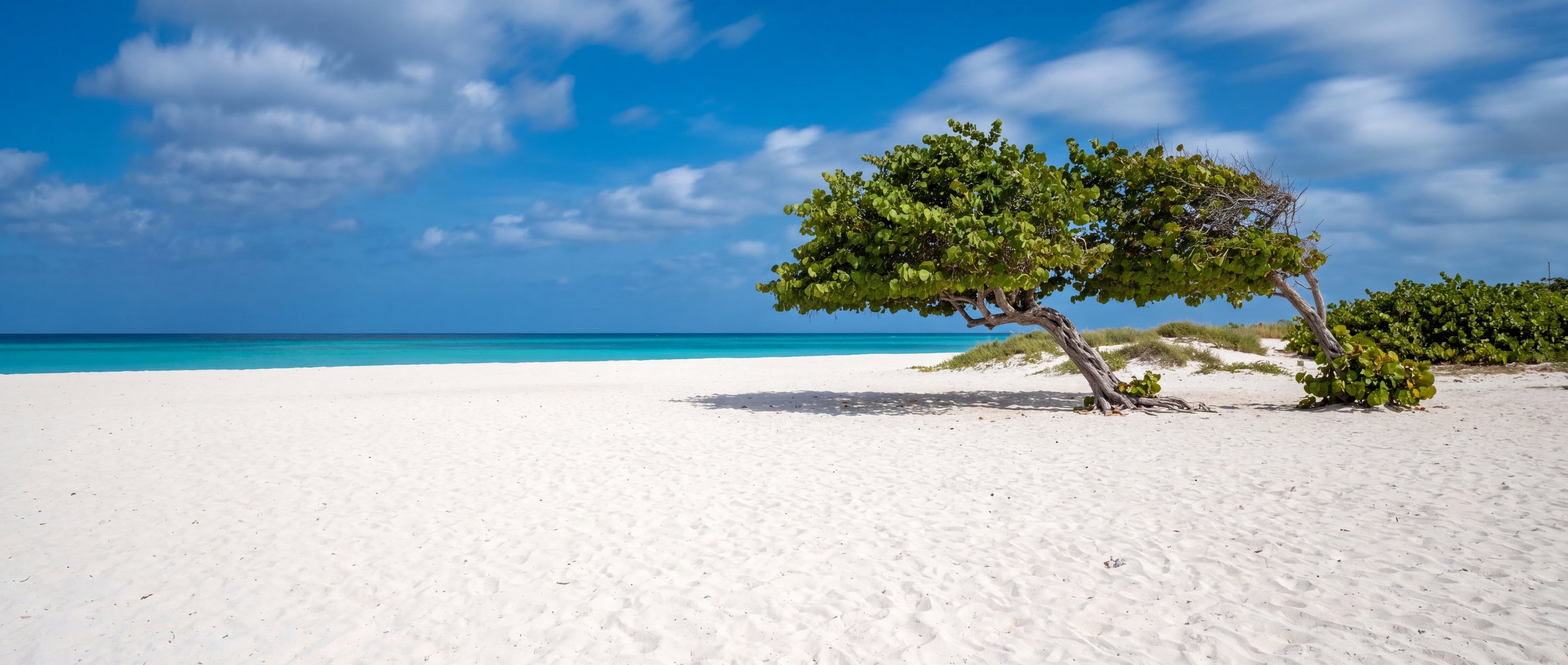 Wide view of Eagle Beach, Aruba.