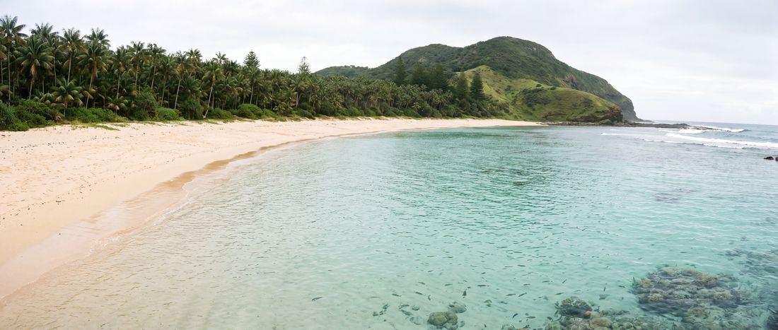 Wide view of Ned's Beach, New South Wales.