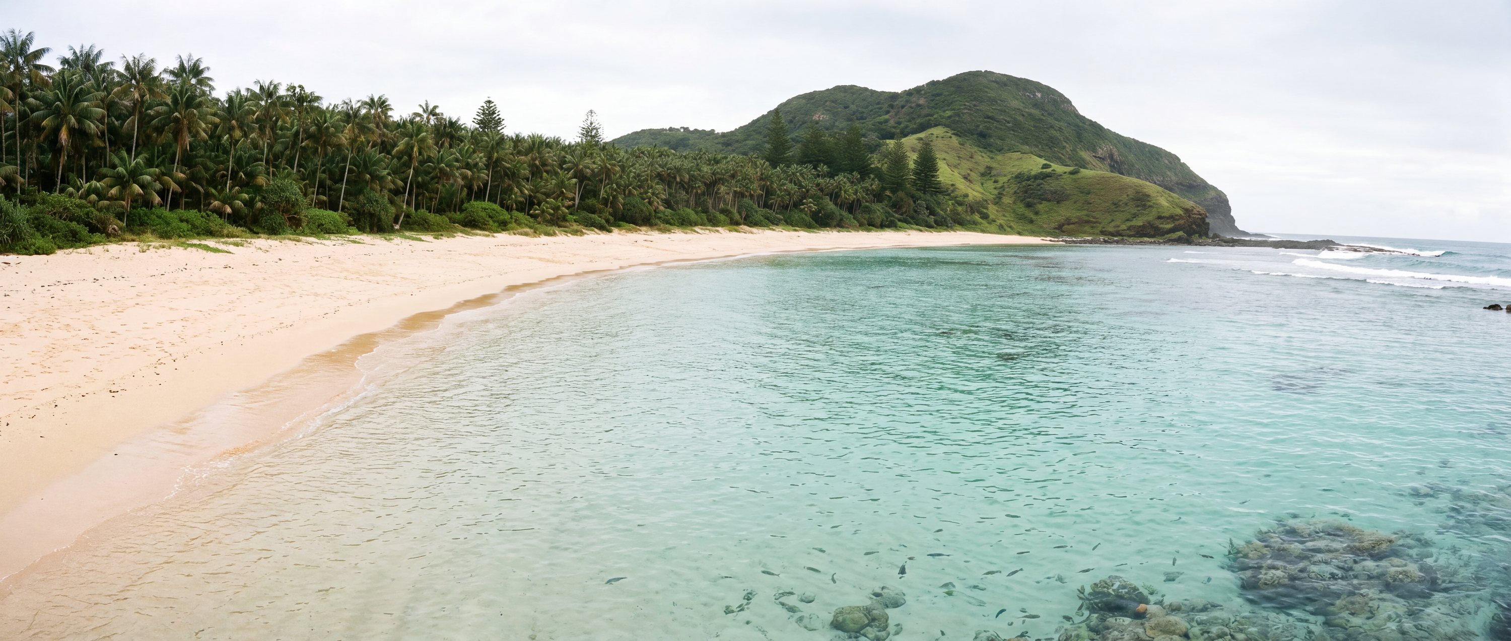 Wide view of Ned's Beach, New South Wales.