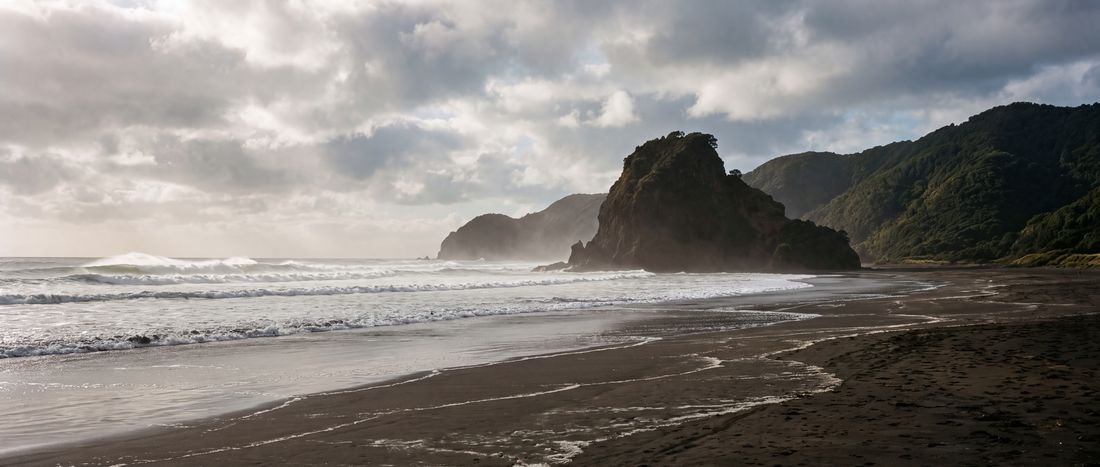 Wide view of North Piha Beach, Auckland west coast, New Zealand.