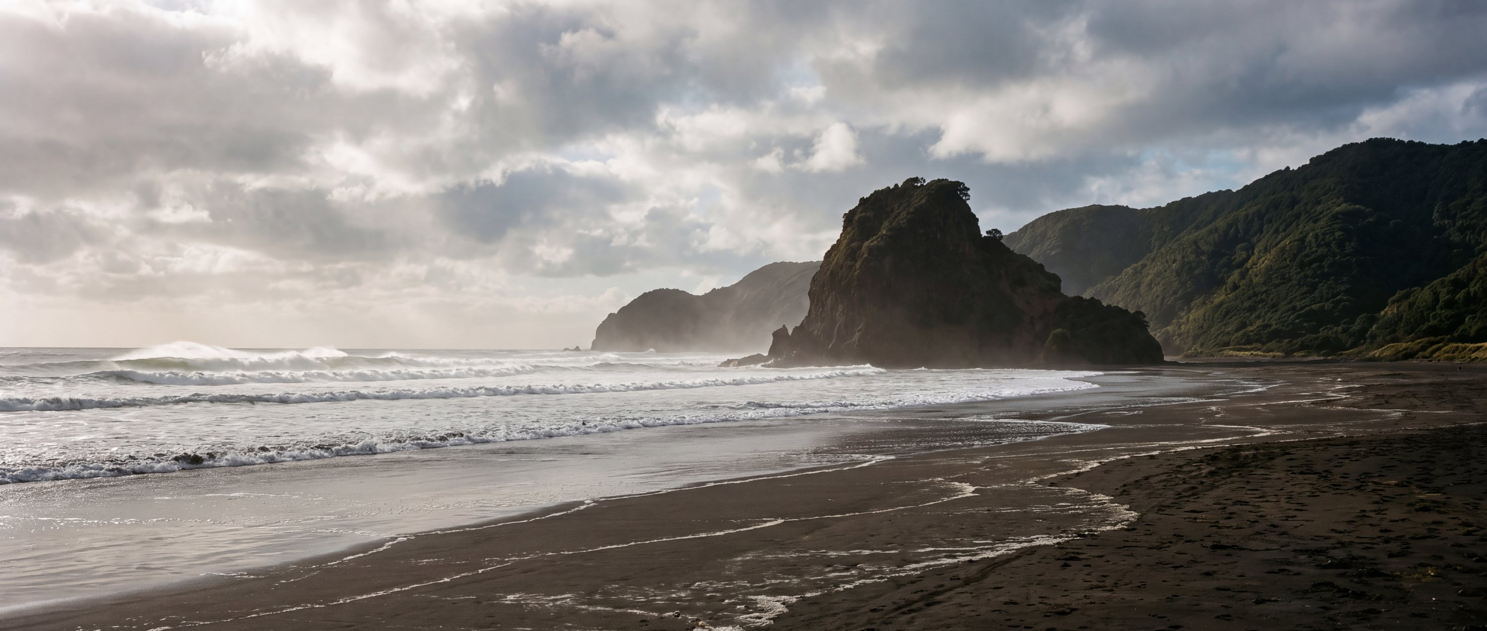 Wide view of North Piha Beach, Auckland west coast, New Zealand.