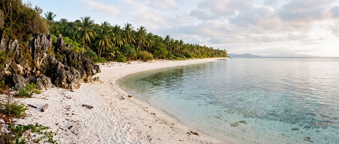 Wide view of Paliton Beach, Central Visayas.