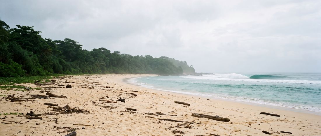 Wide view of Plengkung (G-Land), Alas Purwo National Park, Banyuwangi, East Java.