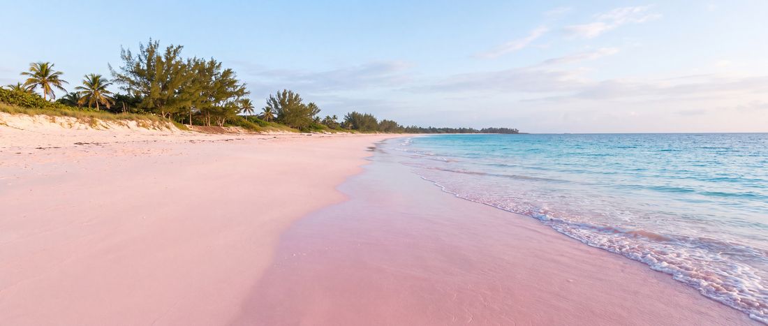 Wide view of Pink Sands Beach, Harbour Island, Bahamas.
