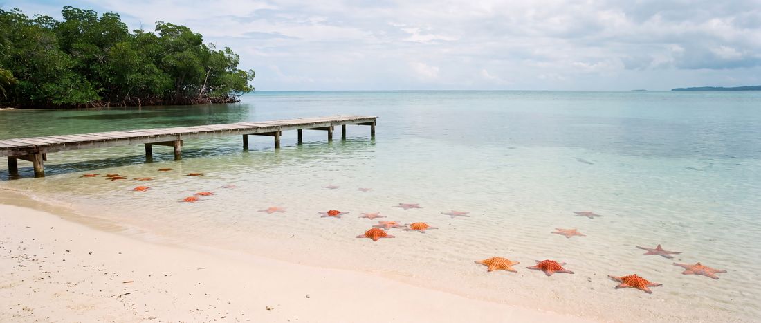 Wide view of Starfish Beach, Bocas del Toro Province.
