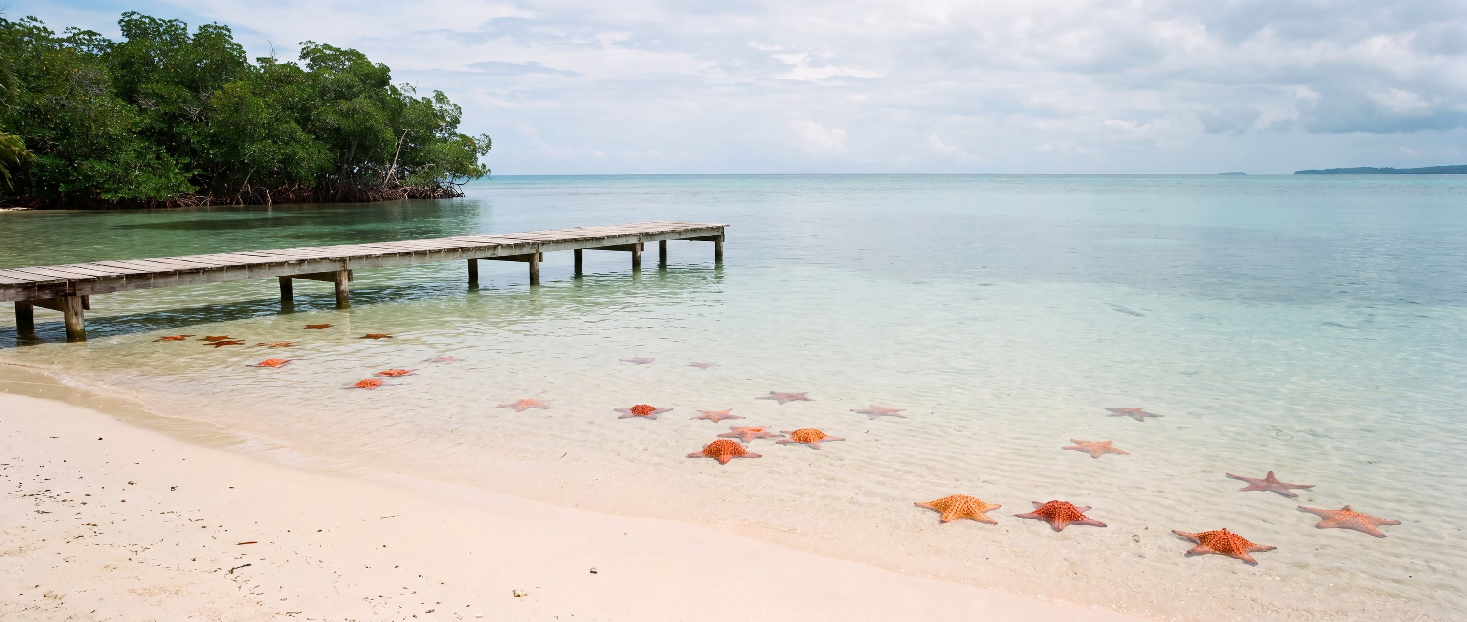 Wide view of Starfish Beach, Bocas del Toro Province.