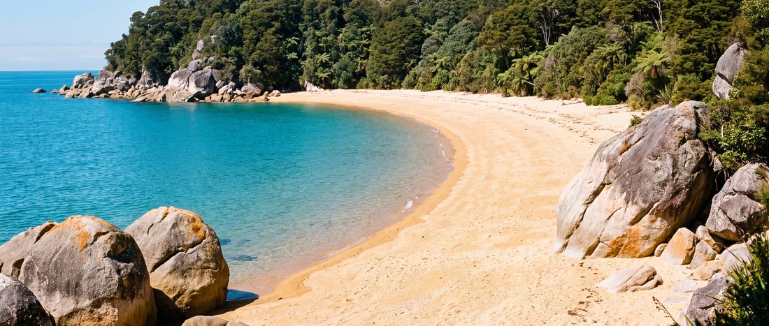 Wide view of Totaranui Beach, Abel Tasman National Park.