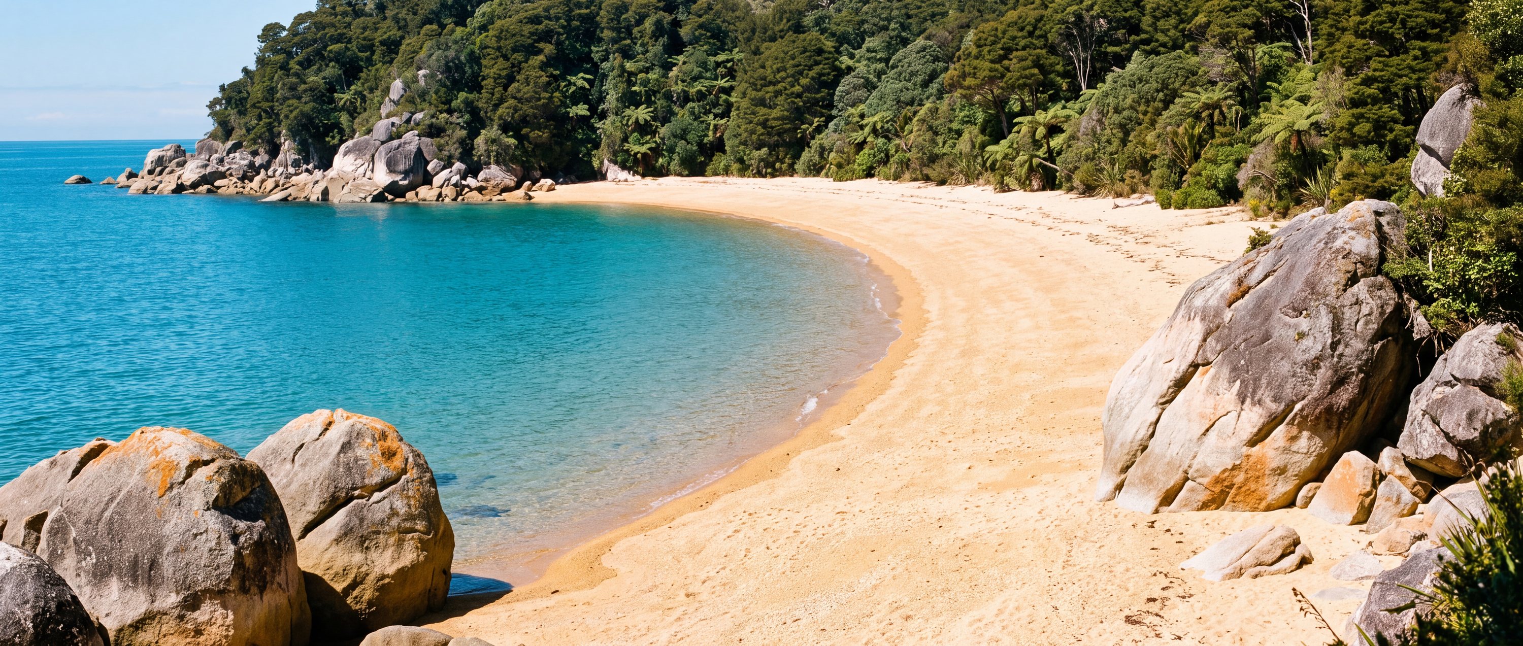 Wide view of Totaranui Beach, Abel Tasman National Park.
