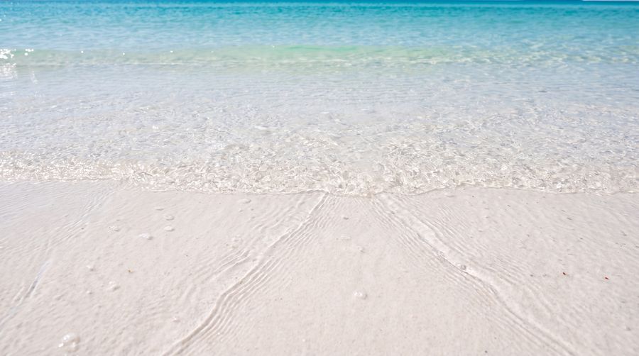 The waterline, with ripple marks left by the retreating tide.