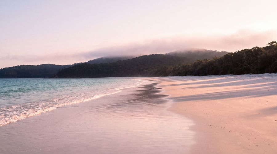 First light, with mist still on the ridge behind the beach.