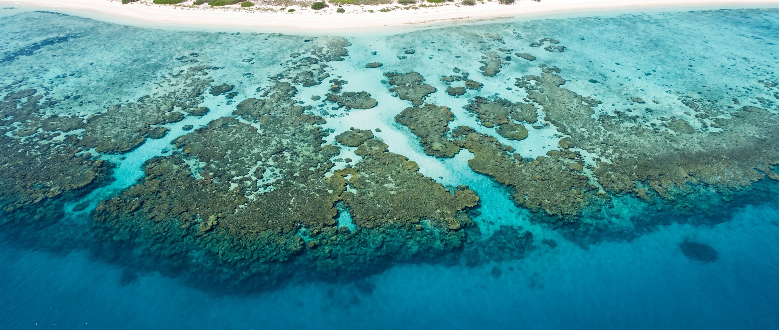 Reef beaches you can snorkel from the sand