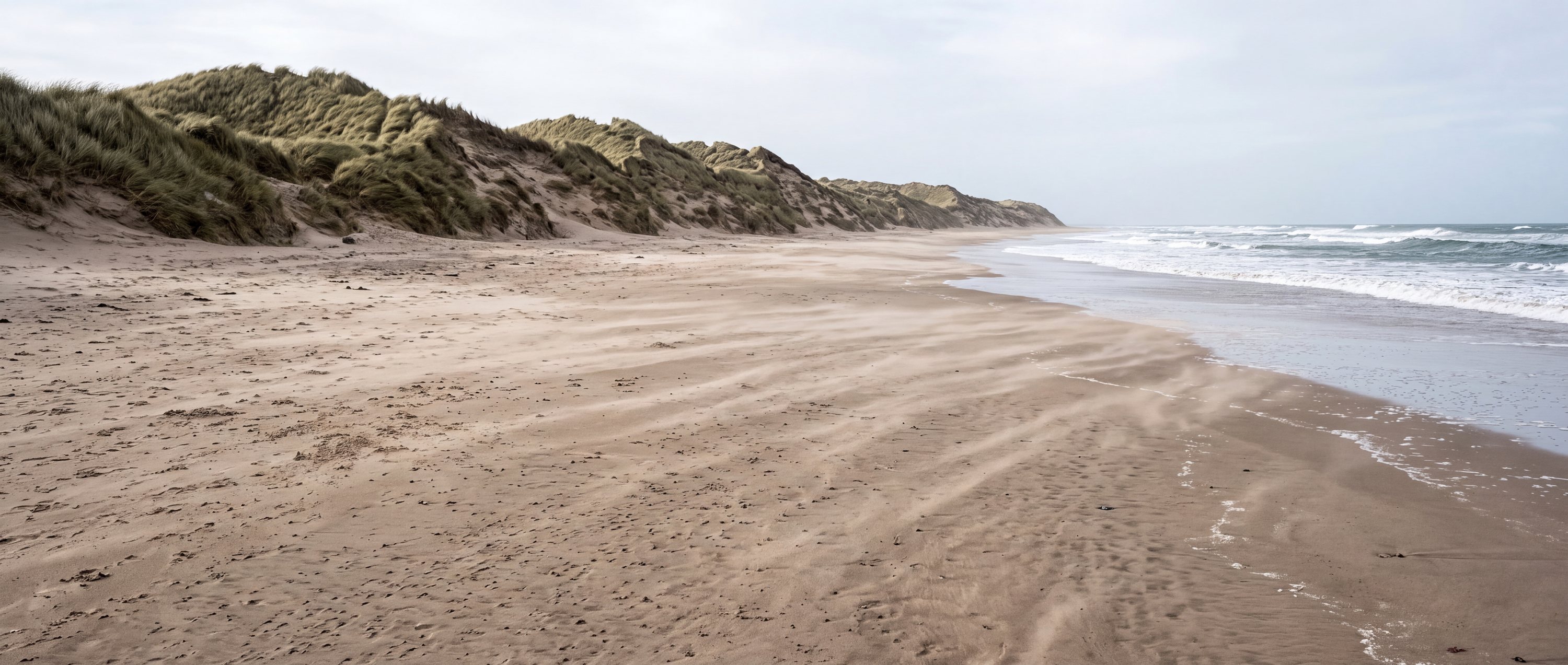 Dune-backed beaches