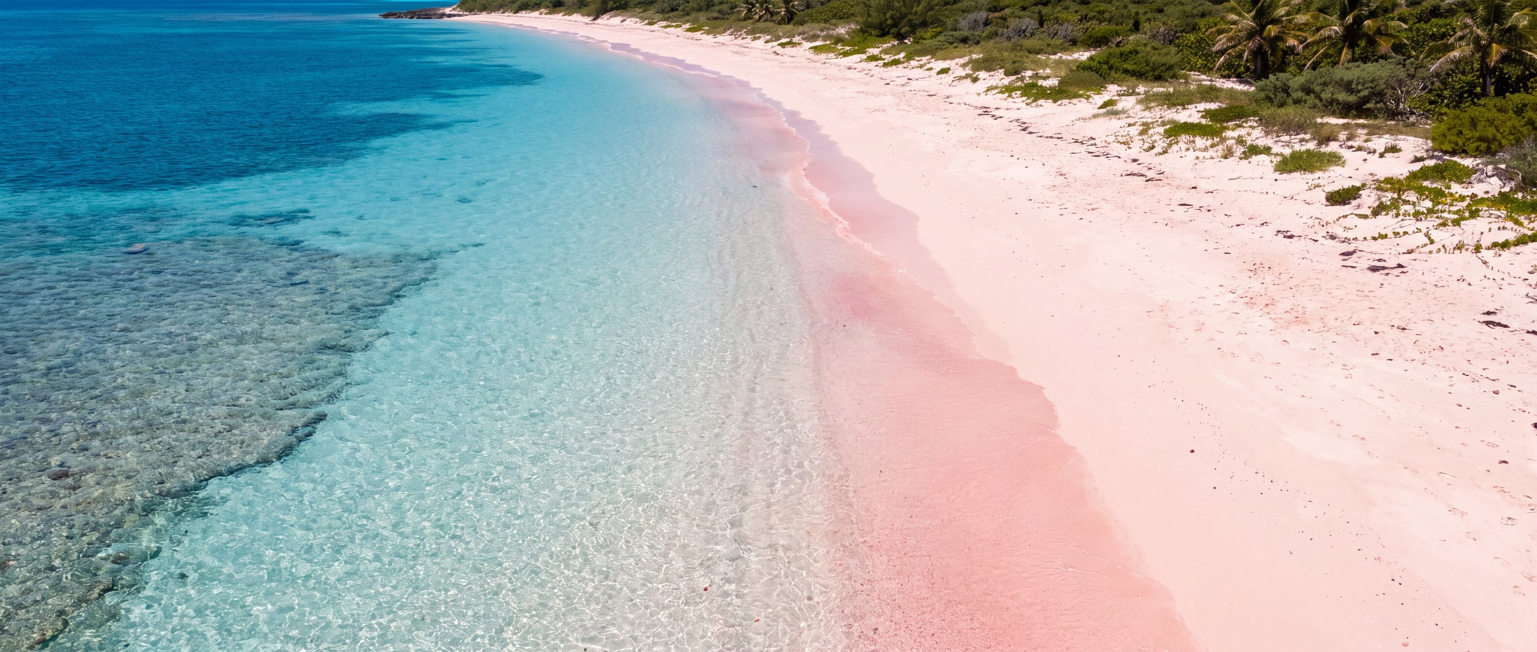 Pink sand beaches